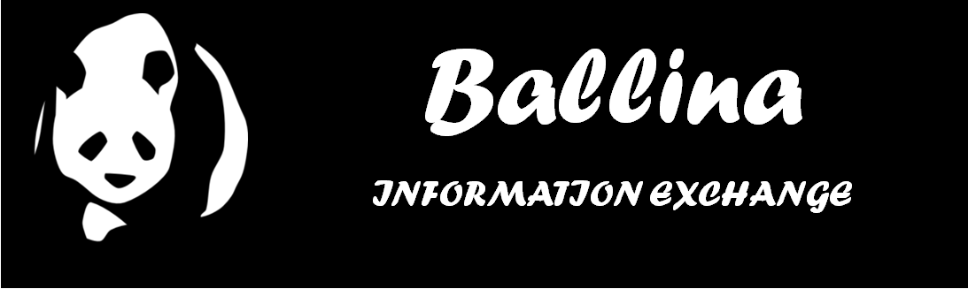 Ballina Information Exchange