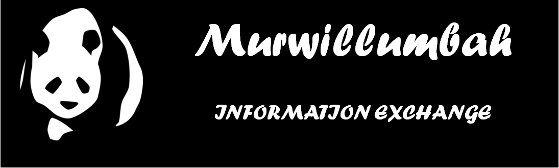 Murwillumbah Information Exchange